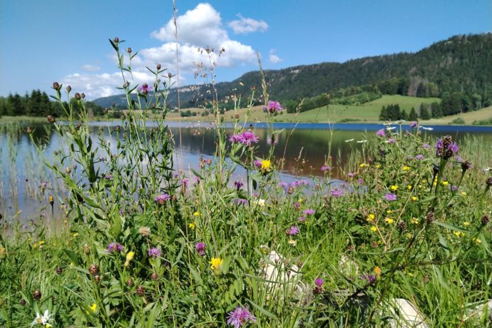Le Lac de BELLEFONTAINE