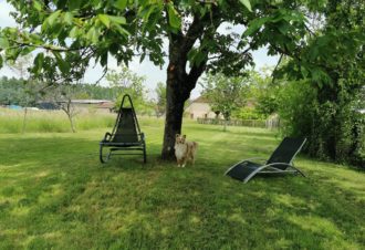 Jurassik’Homes – Gîte Lagoon