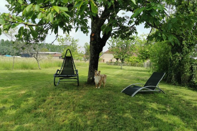 Les chaises longues à l’ombre sous le cerisier