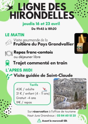 Ligne des Hirondelles printemps – 1