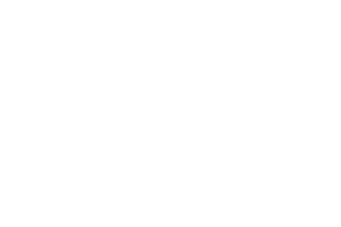 Logo_Domaine-Bourdy_Blanc