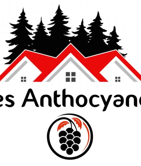 Les Anthocyanes