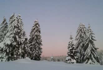 Site Nordique de Longchaumois