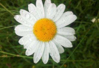 En soi par nature – David Fatet