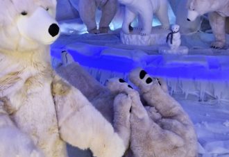 Le Monde des Automates