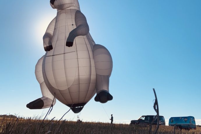 MONTGOLFIERES – CAMERON BALLOONS FRANCE_18