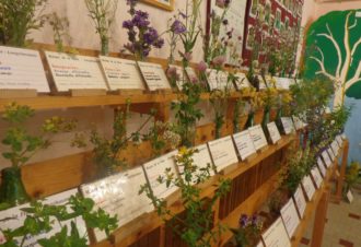 La Maison de la Flore