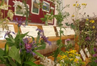 La Maison de la Flore