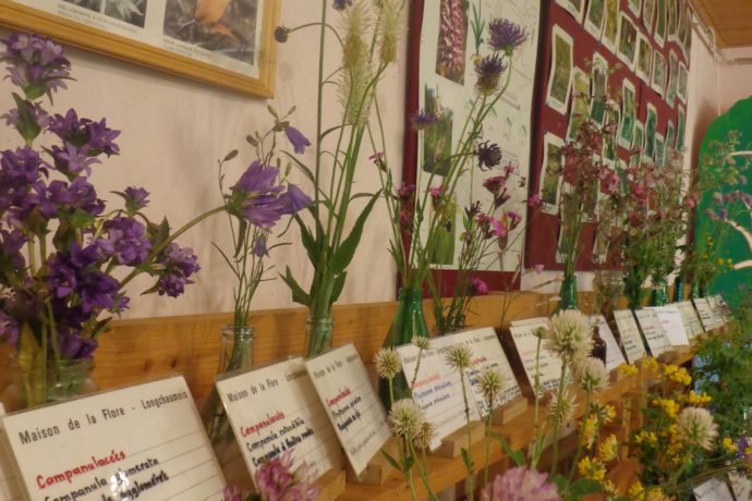 Maison de la Flore