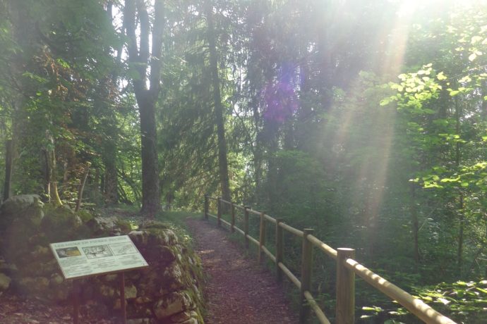 Maison de la Flore_2019_OT (55)