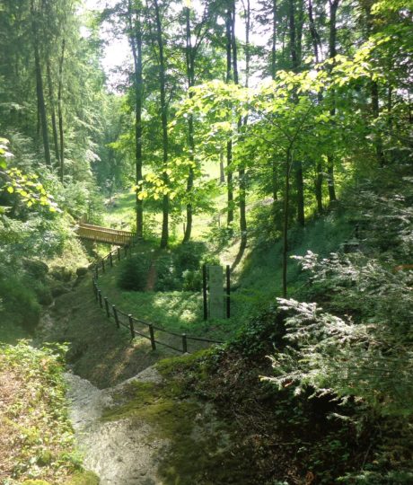 La Maison de la Flore