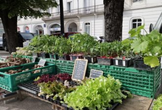 Marché de producteurs