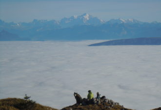 Le Grand Tétras