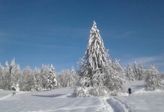 Site Nordique de Morbier