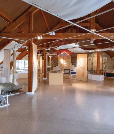 Musée Archéologique