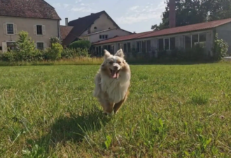 Jurassik’Homes – Gîte Lagoon