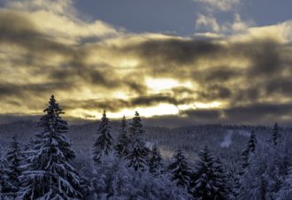 Sentiers Libres – Rémi Basmaji