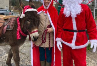 Noël au pas de l’âne…