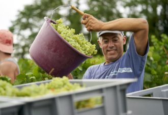 Domaine de la Petite Marne – Noir Frères