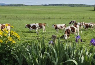 La ferme du Bois Joli