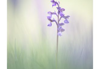 Sylvain Rouvier Photographie