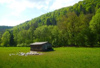 La Ferme de la Maison du Bois