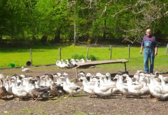 La Ferme de la Maison du Bois