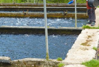 Pisciculture du Moulin de Pierre