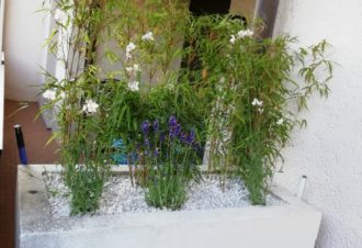 Appartement – Le Revermont