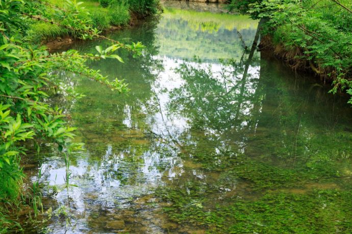 Eglise Graye et Charnay