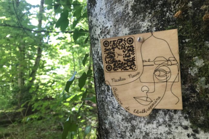 PHOTO signet sur arbre