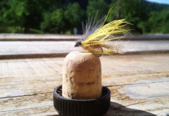 Environnement Pêche Nature