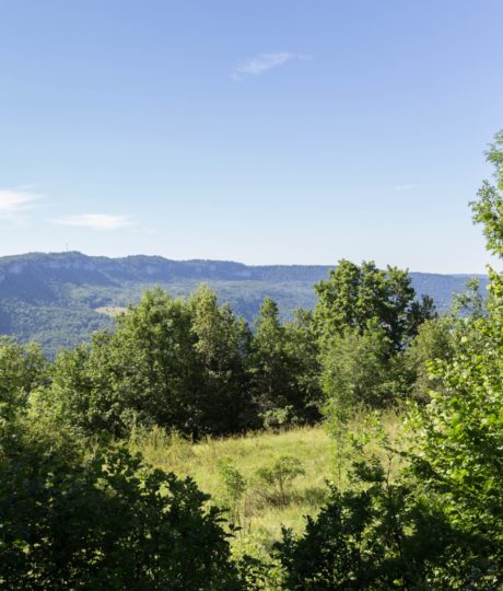 Point de vue de La Bataille