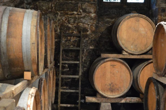 POLIGNY_ cave chai 2 – Domaine Noir(été_13.06.2022)_APSCoeurDuJura