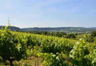 Domaine de la Petite Marne – Noir Frères