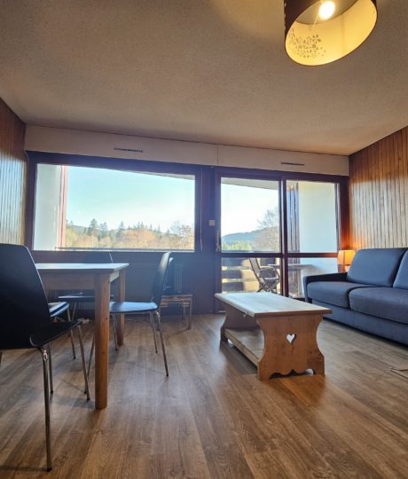 Le Lacuzon – Studio en résidence – R451HEB00