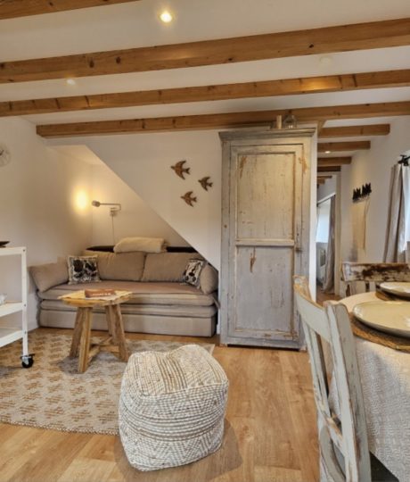 La Cabane des Sources – Appartement en chalet – B402HER00