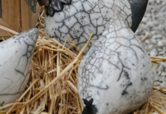 L’atelier de l’Aube