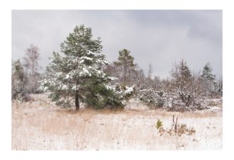 Sylvain Rouvier Photographie