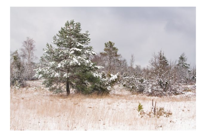 Paysage d&rsquo;hiver dans le Jura