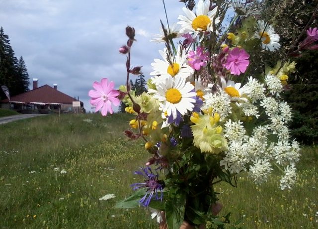 Photo0700
