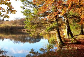 Gîte du fond de la vallée
