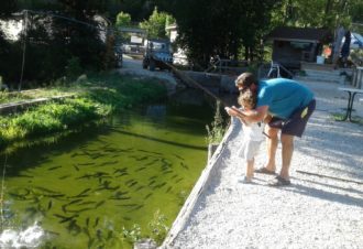 Pisciculture Les Truites des Rivières