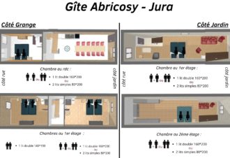 Abricosy côté jardin