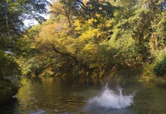 Canoë Kayak Gorges de l’Ain