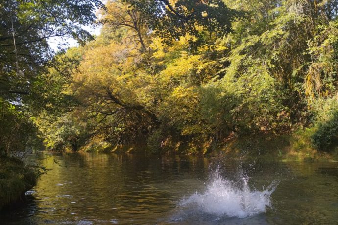 Balance Corde – Plouf Valouse