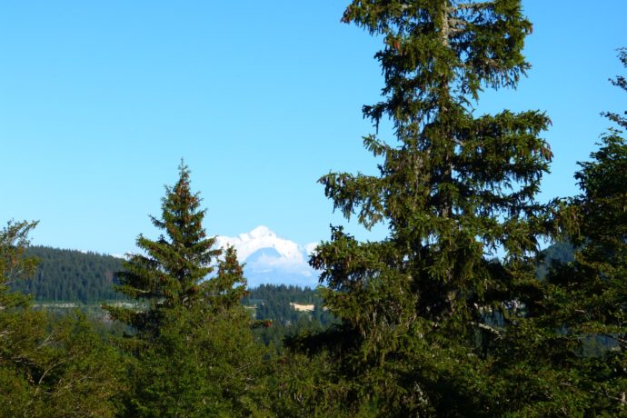 Point_de_vue_sur_le_mont_blanc_crêt_de_la_vigoureuse_©Gilles_PROST