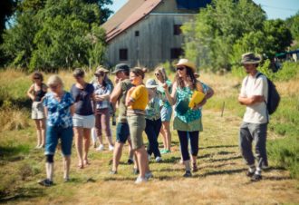 La ferme Cassiopée