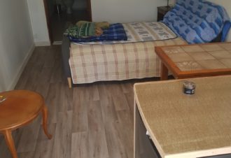 Studio – Le Myosotis