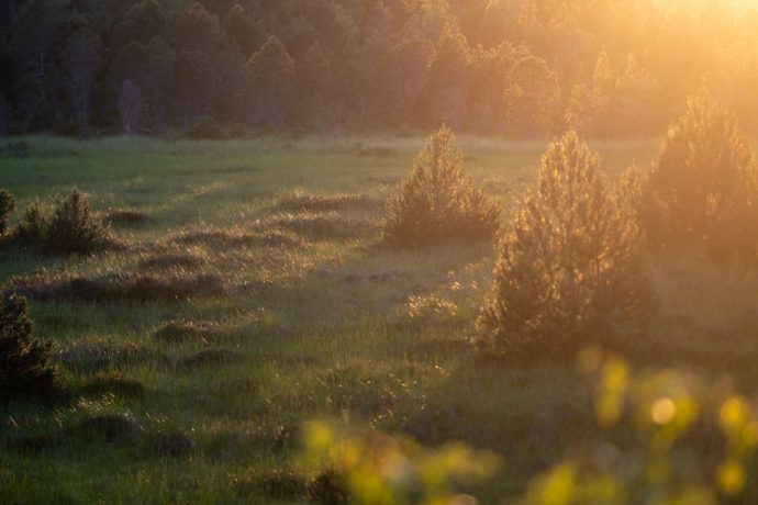 Reserve Naturelle Régionale de Frasne Bouverans
